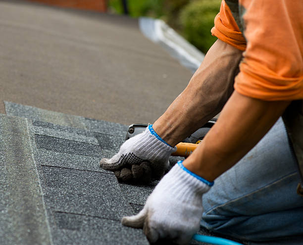 Best Storm Damage Roof Repair  in Saddlebrooke, AZ